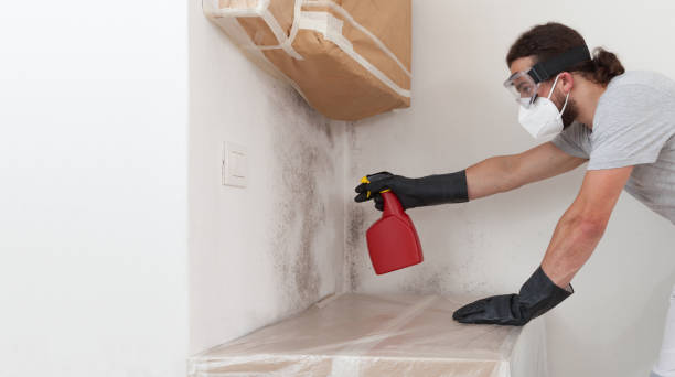 Professional Bathroom Mold Removal technician working in Fishertown, PA