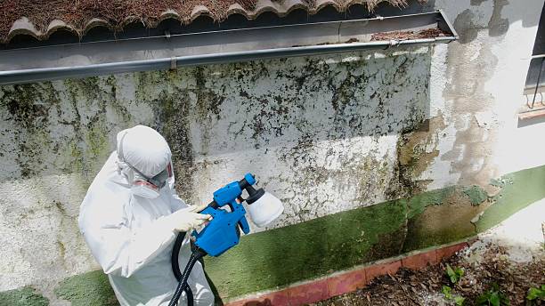 Top rated local Bathroom Mold Removal specialists in Fishertown, PA
